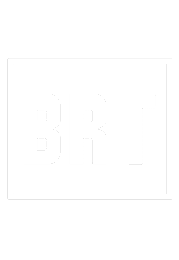 logo brt bianco