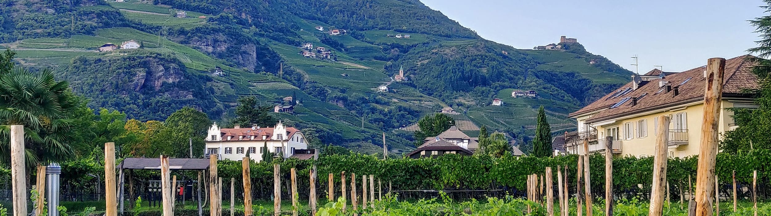 iospedisco spedizioni nazionali bolzano