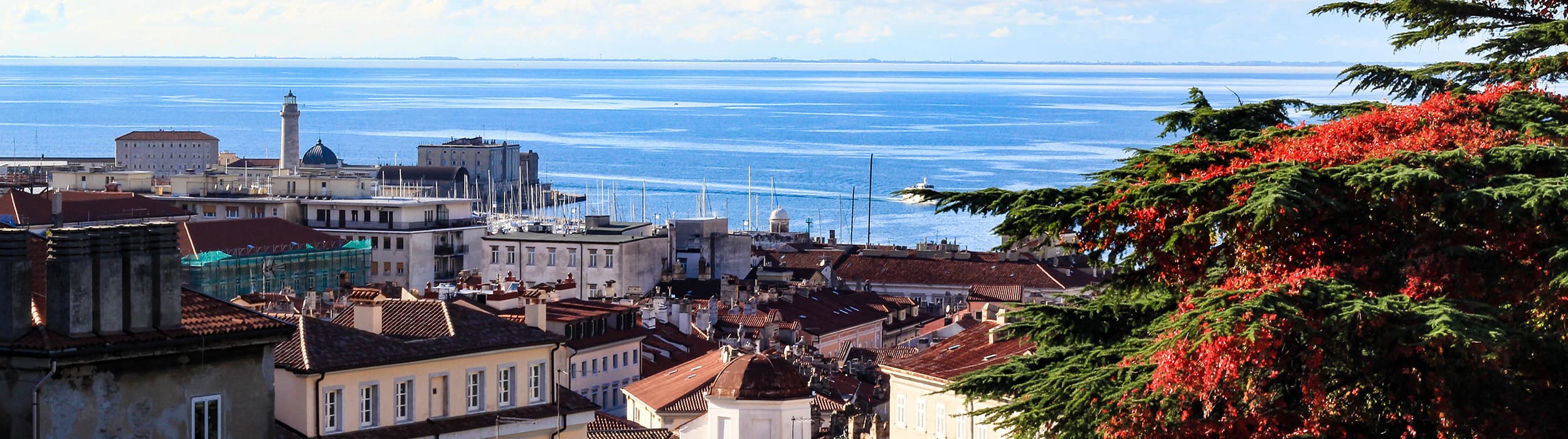 iospedisco spedizioni nazionali trieste