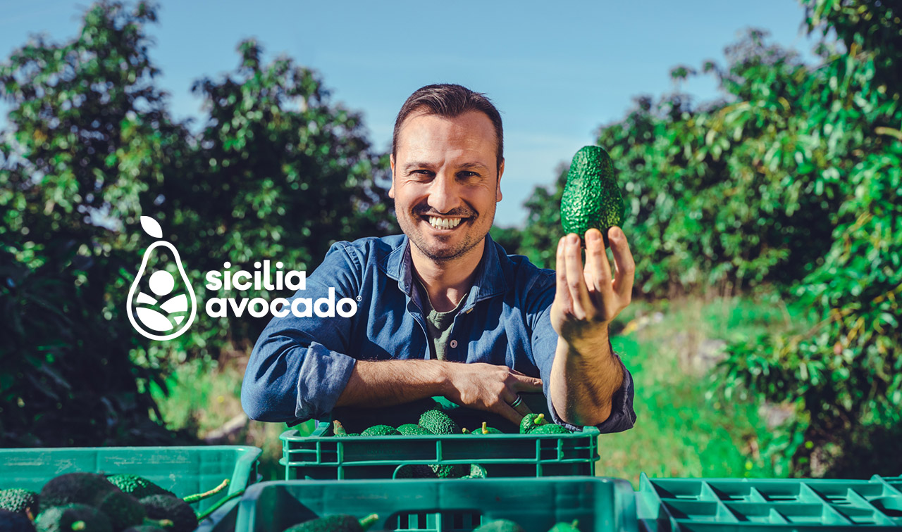 Sicilia Avocado